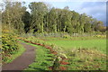 Path, edge of Rogerstone Welfare Ground