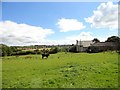 Pont House Farm, Leadgate