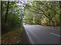 TF6924 : A148 towards King's Lynn by JThomas