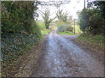 S0437 : Road from Garraun to Farranamanagh by Peter Wood