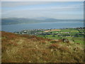 J1912 : Carlingford Lough and the Western Mournes from the slopes of Barnevave  by Eric Jones