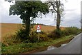 NN9721 : Roadside arable at Williamston by Alan Reid