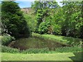 SJ2044 : Valle Crucis Abbey - fishpond by Stephen Craven