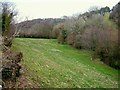 Meadow by Ashwell Brook