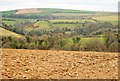 Ashwell Brook valley