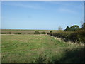 TF8344 : Grassland and hedgerow, Burnham Overy Staithe by JThomas