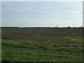 TF8543 : Stubble field, Burnham Overy Staithe by JThomas