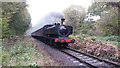 Train approaching Country Park Halt