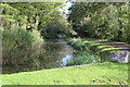 Monmouthshire & Brecon Canal east of Thistle Way