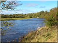 The Tees at High Coniscliffe