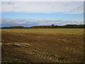 Stubble field of Hackthorn Road