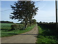 Track to Branthill Farm