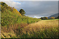 Fields near Ballenteem