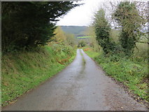 R7416 : Road (L5624) from R517 to Knockanevin by Peter Wood