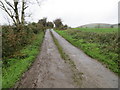 R7716 : Road (L5631) from Booladurragha to Gortroe (Mitchelstown) and R517 by Peter Wood