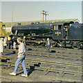 Steam at Ripple Lane open day, 1987