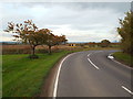 TQ6482 : Conway's Road, near Orsett by Malc McDonald