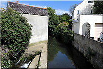 SY3492 : The River Lym in Lyme Regis by Tony Atkin