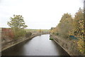 View along the River Lea Navigation from Lockwood Way