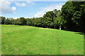 Bridleway along a field edge