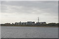 View of new apartments in Tottenham Hale from the Walthamstow Wetlands