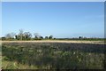 Field north of Wistow