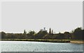 View of towerblocks in South Tottenham/Stamford Hill from the Walthamstow Wetlands