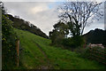 East Devon : Grassy Field