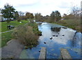 Grantham Canal in Earlesfield, Grantham