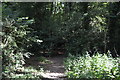 Footpath, Downley Common