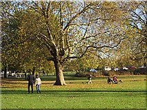 TQ3475 : Peckham Rye Common by Paul Harrop