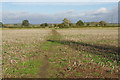 Footpath to Upton