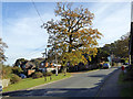 Tree at junction, Emery Down