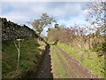 Old road from Robieston to Tulliford