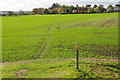 Footpath to Fiskerton