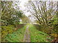 Footbridge over disused railway line