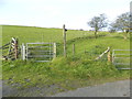 Gate to footpath, Gelliwion Rd, near Ty-draw Farm