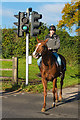 Equestrian crossing