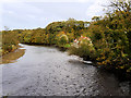 River Esk at Ruswarp