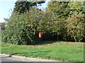 TF8241 : Trees beside Church Walk, Burnham Westgate by JThomas