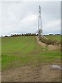 Pylon in newly-sown field at Butterlaw