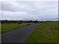 Road across Roborough Down