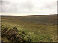 SE8598 : Looking North across Goathland Moor by David Dixon
