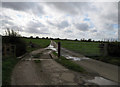 Cattle grid and gate on Langar Lane east of Newlands driveway