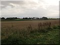 Stubble  field  on  Scamridge  toward  Scamridge  Slack