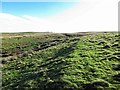 Former trackway, Aughertree Fell