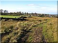 Bridleway near Johnny Beck