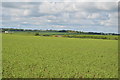 Farmland, West Bedfordshire Ridge