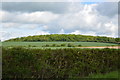 West Bedfordshire Ridge (Astey Wood)