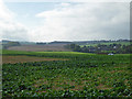 Farm land south of Ripple